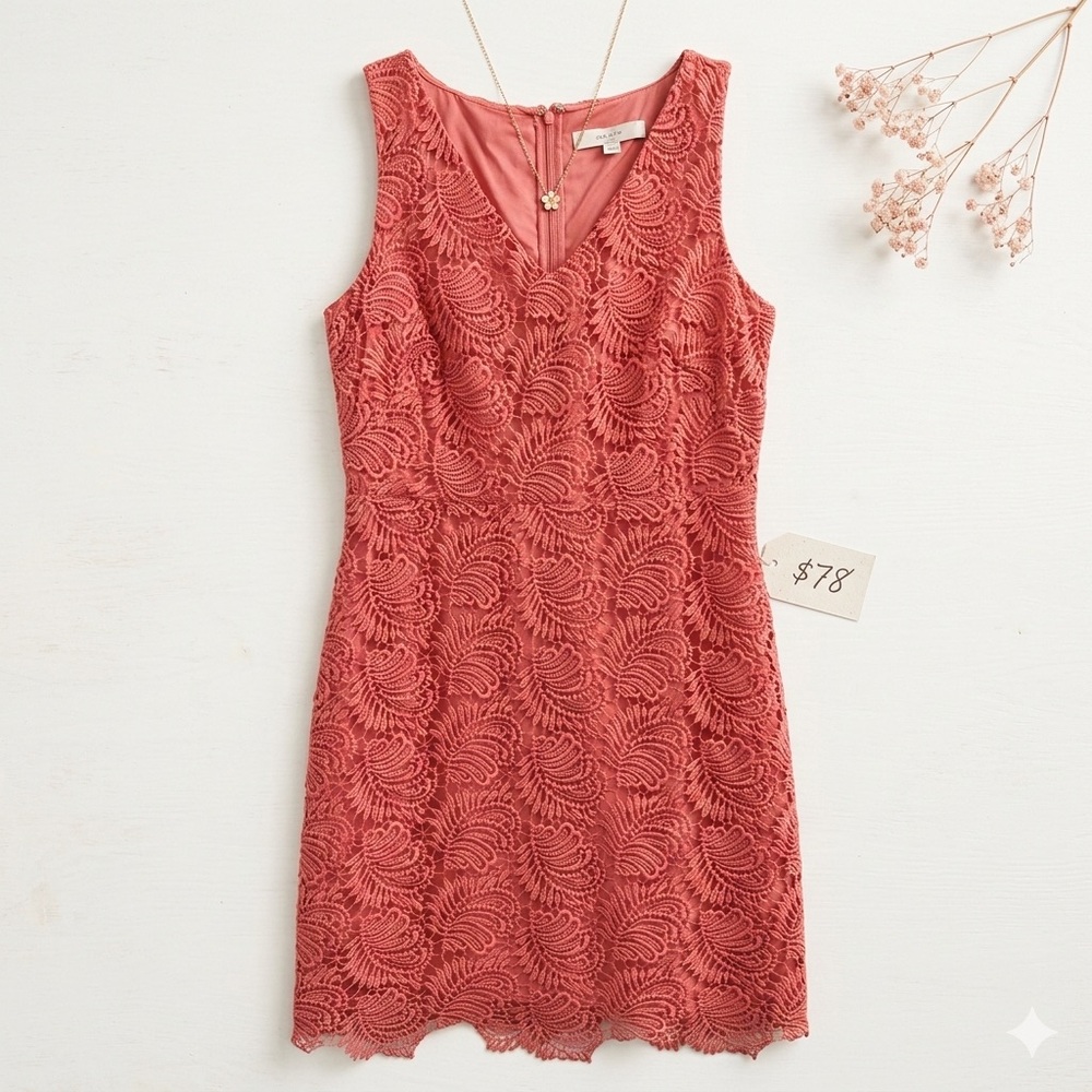 NWT LOFT Coral Pink Floral Lace Sheath Dress Size 6 $98